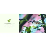 Stimmungsbild zu Behütet und getröstet jeden Tag