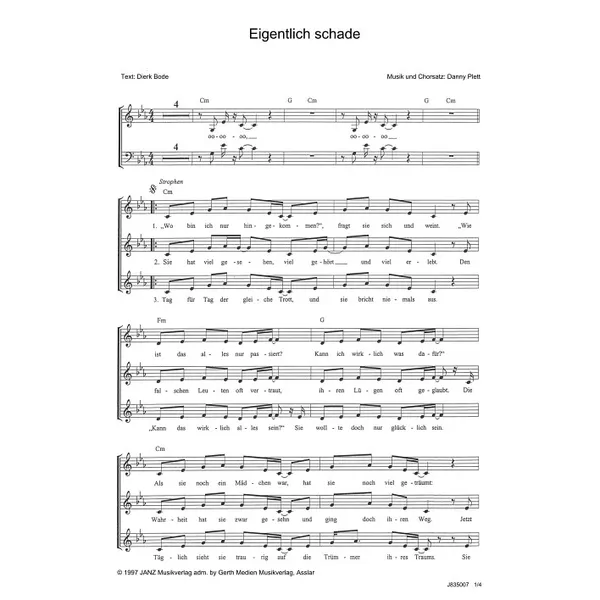 Produktbild des Artikels Eigentlich schade (Noten - Download)