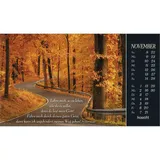 Stimmungsbild zu Sehnsucht nach Unendlichkeit 2026