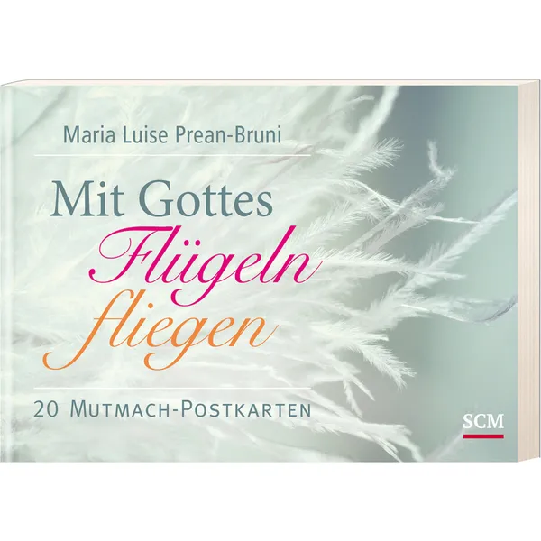 Produktbild des Artikels Mit Gottes Flügeln fliegen (Schreibwaren - Kartoniert)