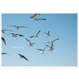 Stimmungsbild zu Postkartenbuch "GLÜCK:WUNSCH"