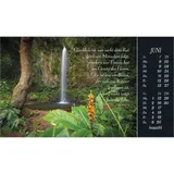 Stimmungsbild zu Sehnsucht nach Unendlichkeit 2026