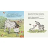 Stimmungsbild zu Du bist geliebt, kleines Zebra