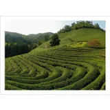 Stimmungsbild zu Fernweh - Postkartenset