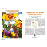 Stimmungsbild zu Das HauskreisMagazin 01/2026
