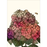 Stimmungsbild zu Grüße aus dem Paradies - Postkartenbox