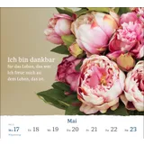 Stimmungsbild zu Schöne Aussichten 2027 - Aufstellkalender