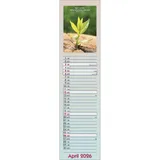 Stimmungsbild zu Viel Glück und viel Segen auf all deinen Wegen 2026