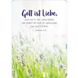 Stimmungsbild zu Königstochter - Blechdose