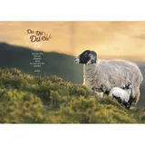 Stimmungsbild zu Nichts wird mir mangeln