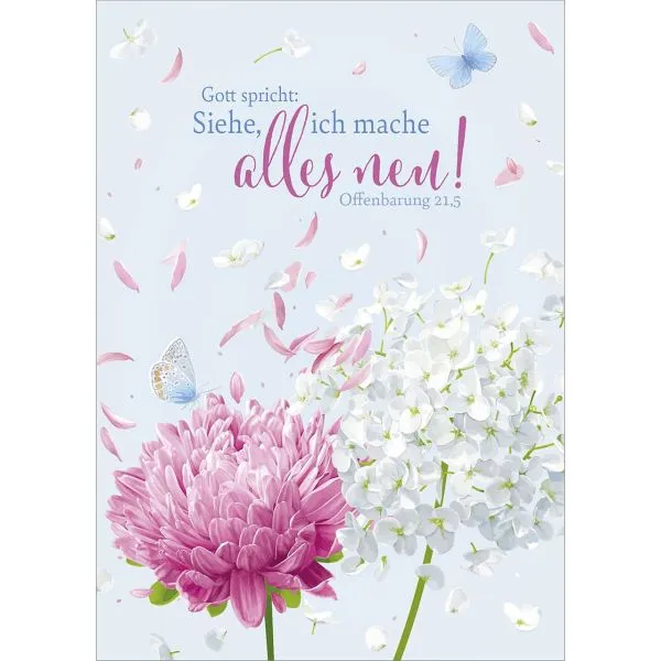 Produktbild des Artikels Jahreslosung 2026 - Postkarten, 12 Stk Grafik (Schreibwaren)