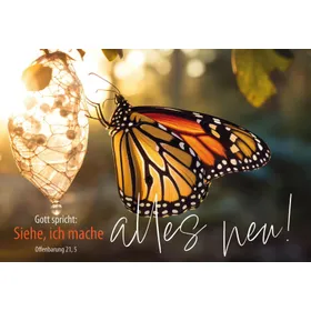 Produktbild des Artikels Jahreslosung 2026 - Postkarten "Schmetterling" 10er Set (Schreibwaren)