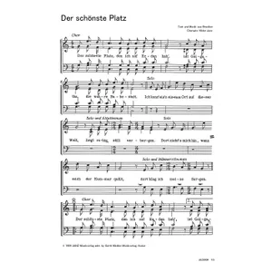 Produktbild des Artikels Der schönste Platz (Noten - Download)