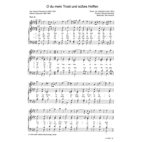 Produktbild des Artikels O du mein Trost und süßes Hoffen (Noten - Download)