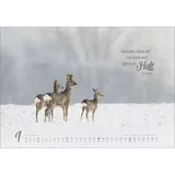 Stimmungsbild zu Real Wildlife 2026 - Wandkalender
