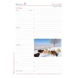 Stimmungsbild zu Mein Jahr 2026