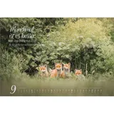 Stimmungsbild zu Real Wildlife 2026 - Wandkalender