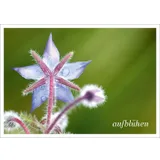 Stimmungsbild zu Postkartenbuch "Herzensmensch"