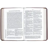 Stimmungsbild zu Schlachter 2000 - Taschenausgabe, Goldschnitt grau/braun