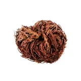 Stimmungsbild zu Wunder der Weihnacht - Rose von Jericho