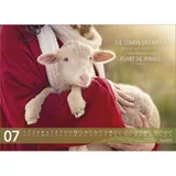 Stimmungsbild zu Jesus Worte 2026