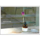 Stimmungsbild zu Postkartenset "GLÜCK:WUNSCH"