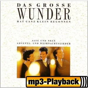 Produktbild des Artikels Das große Wunder hat ganz klein begonnen (Playback ohne Backings) (MP3-Album - Download)