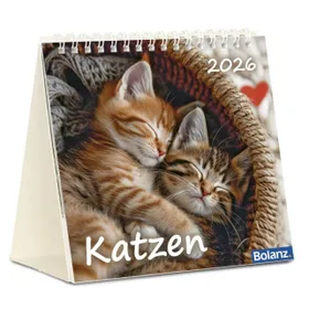 Produktbild des Artikels Katzen 2026 - Tischkalender (Kalender - Spiralbindung)