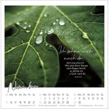 Stimmungsbild zu Kleine Auszeit im Grünen 2026 - Postkartenkalender