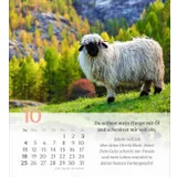 Stimmungsbild zu Psalm 23 - Tischkalender 2026