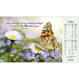 Stimmungsbild zu Heute und morgen bin ich geborgen 2026 - Postkartenkalender