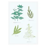 Stimmungsbild zu Kartenbox - natur-verliebt "Biene"