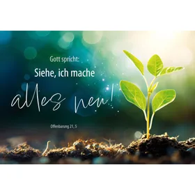 Produktbild des Artikels Jahreslosung 2026 - Postkarten "Pflanze" 10er Set (Schreibwaren)