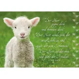 Stimmungsbild zu Postkartenbuch: Der gute Hirte führt uns