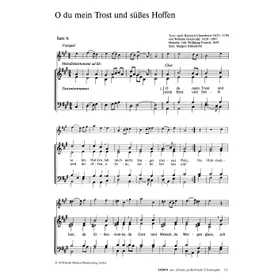 Produktbild des Artikels O du mein Trost und süßes Hoffen (Noten - Download)