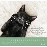 Stimmungsbild zu Einfach mal abhängen 2026 - Wandkalender