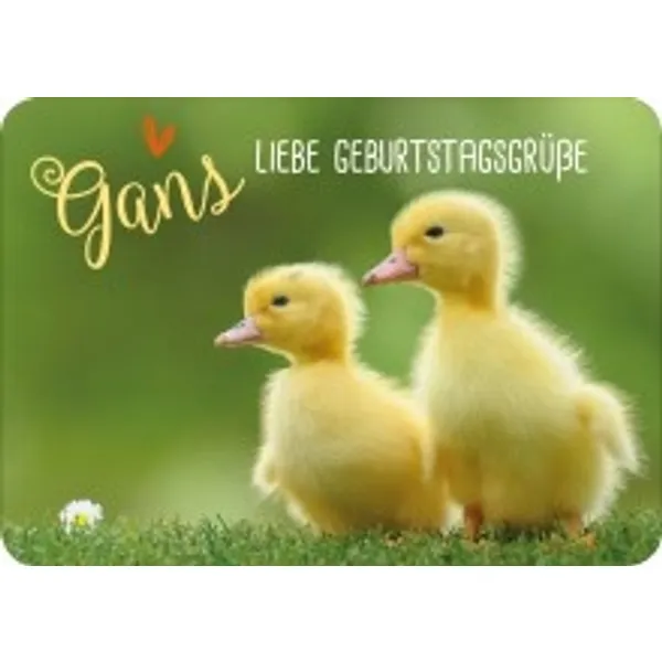 Produktbild des Artikels Postkarte - Gans liebe Geburtstagsgrüße (Schreibwaren)