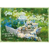 Stimmungsbild zu Postkartenbox Geburtstag "Vogelkäfig"