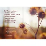 Stimmungsbild zu Sei ganz getrost an Gottes Hand