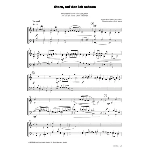 Produktbild des Artikels Stern, auf den ich schaue (Noten - Download)