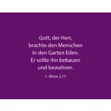 Stimmungsbild zu 50 Dinge, die Gott an dir liebt – Textkartenbox