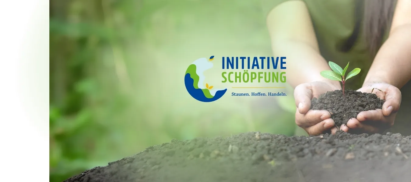 Banner - Schöpfung und Nachhaltigkeit