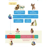 Stimmungsbild zu Der Bibel-Guide