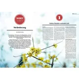 Stimmungsbild zu Faszination Bibel 04/2025