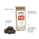 Stimmungsbild zu Blumenkugeln "Munterer Mohntag"