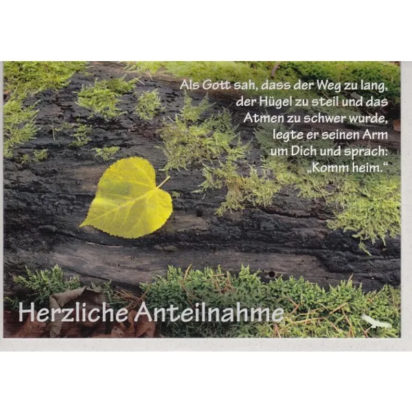 Produktbild des Artikels Herzliche Anteilnahme - Faltkarte (Schreibwaren)
