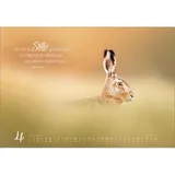 Stimmungsbild zu Real Wildlife 2026 - Wandkalender