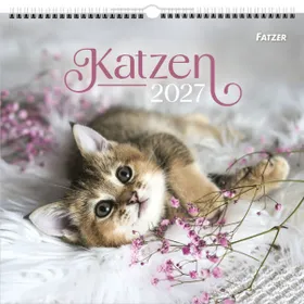 Produktbild des Artikels Katzen 2027 - Wandkalender (Kalender - Spiralbindung)