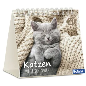 Produktbild des Artikels Katzen 2027 - Minikalender (Kalender - Spiralbindung)