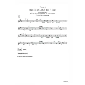 Produktbild des Artikels Halleluja! Lobet den Herrn (Trompete) (Noten - Download)